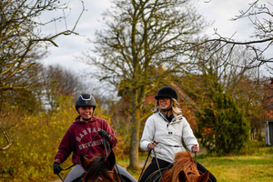 Dragør: Søvang Horseback Riding Tour with Icelandic Horses