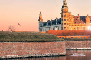 From Copenhagen: 4-hour Private Hamlet Castle Tour