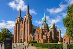 Fra København: Privat tur til Roskilde katedral og vikingstur