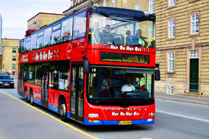 Hop-On Hop-Off Sightseeing Bus Gray Line 24hs