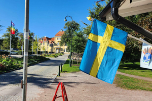 Malmö Walking Tour with Round-Trip Train in 4hrs