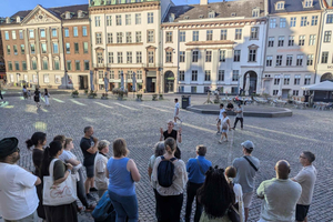 Copenaghen: Tour dei 