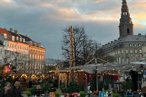 Private 90-Min Ultimate Christmas: Tivoli & Hygge