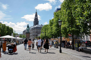 Köpenhamn: Privat tur utan kö till Christiansborg och kanaltur