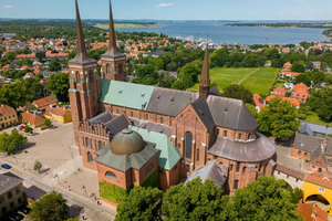 Tour pela Catedral de Roskilde, Museu Viking e Forest Tower
