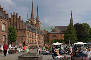 Copenhaga: City tour por Roskilde, a cidade Viking em inglês