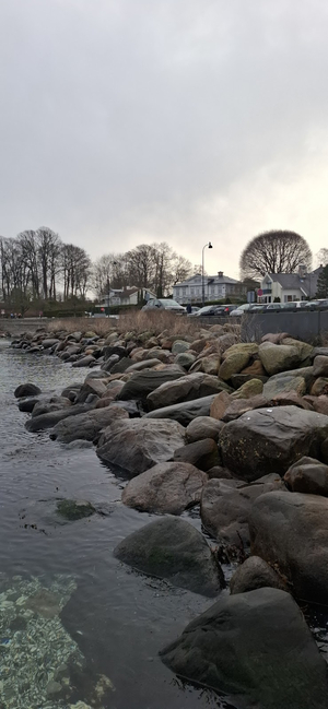 Bellevue Beach