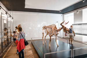 Copenhagen's Spring Delights: 10 Experiences to Book Now