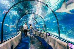 Barcelona: hop on, hop off-bustocht met Aquarium