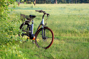 Bike Tour in Costa Brava: Olive Groves & Local Tasting