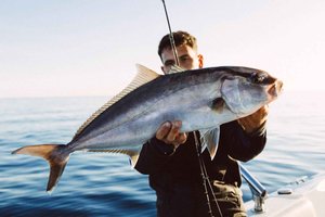 Pêche côtière à Palamós