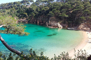 Z Barcelony: do plaż Aiguablava i Tamariu, Costa Brava