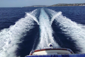 Divertissement et dégustation : pêche à la traîne et sashimi sur la Costa Brava