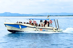 L'Estartit: Boat Tour of the Medes Islands and the Montgrí Coast with Vermouth
