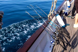 Palamós: Passeio de Pesca Tradicional às Ilhas Formigues