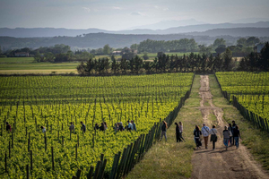 Pals: Visit the Mas Geli winery with a wine tasting