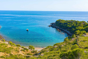 Roses: Cruise to Cala Murtra with Underwater Views