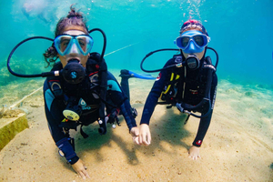 VIP Diving Experience for Beginners on the Costa Brava - Small Group