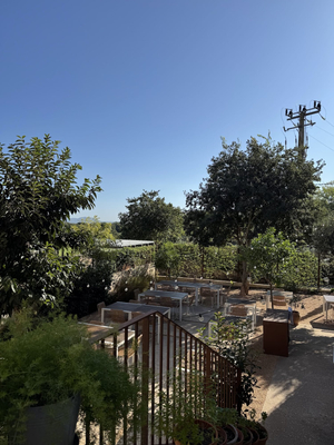 Casa Olimpia