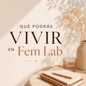 Fem Lab
