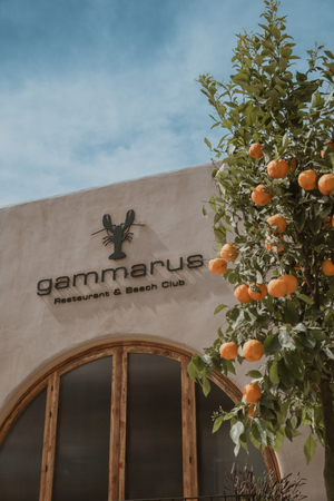 Gammarus Restaurant & Beach Club