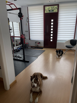Move 4 Fitness PT & Massage Therapy