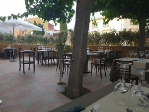 Restaurant Bar Camelot