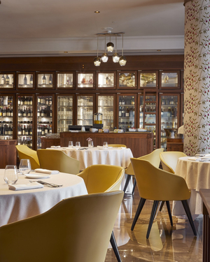 Restaurant Terra