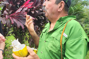 Tour Agroecológico en Puerto Viejo de Sarapiquí: Naturaleza y Tradición