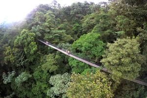 Tour di mezza giornata dei Ponti Pensili dell'Arenal da La Fortuna