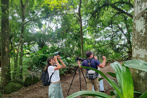 Bijagua de Upala: Rainforest, sloths, birds, and tons of fun