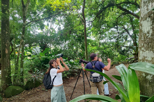Bijagua de Upala: Rainforest, sloths, birds, and tons of fun