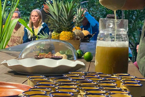 Bijagua Farm Tour: Coffee, Handmade Chocolate & Pineapple