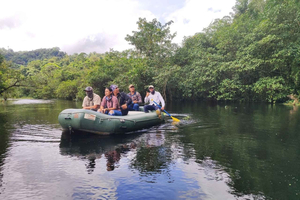 Bijagua: Rainforest Wildlife Walk, Sloths and Floating Tour
