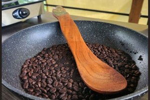 Bijagua: perezosos, café y chocolate con almuerzo