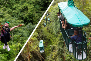 Canopy Zip line & Aerial Tram Tour Jacó