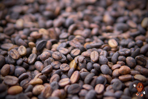 Coffee Tour with Tasting on the slopes of the Poas Volcano