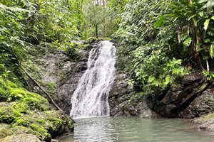 Corcovado Sunrise Tour with Los Planes Ranger Station