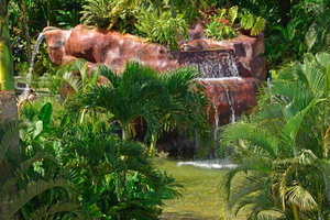 Costa Rica: Baldi Hot Springs päiväpassi valinnaisilla aterioilla.