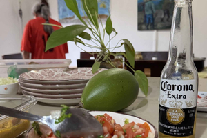 Descubra a Zona Azul de Tamarindo: aula de culinária saudável