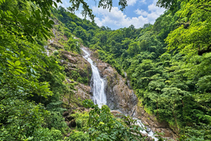 From San José: 2-Day Costa Rica Wellness Retreat