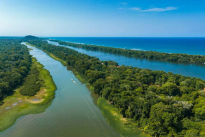 Fra San José: Dagstur og båtur i Tortuguero nasjonalpark