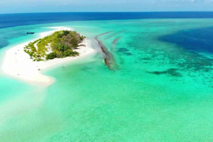 Fra Zanzibar: Safari Blue-snorkletur med lunsj
