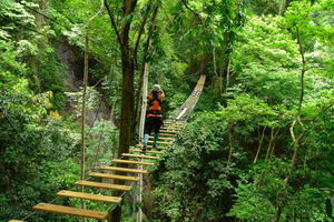 Jacó: 5-in-1 Adrenaline Treetop & Jungle Adventure