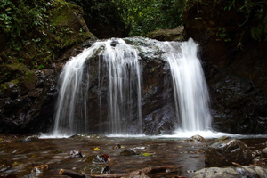 Plage de Jaco : 10 chutes d'eau cachées - Visite guidée