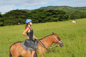 La Cruz, Guanacaste: True Horseback Ride Tropical Forest