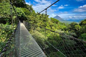 La Fortuna: Arenal Volcano, Waterfall & Hanging Bridges Tour