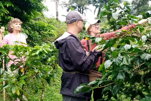 La Fortuna: Tour Combinado de Café y Chocolate Local