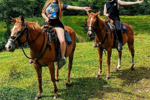 La Fortuna: Volcano Horseback Ride & Zipline Tour