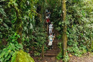 La Fortuna: Visita às cascatas, ao vulcão Arenal e às termas